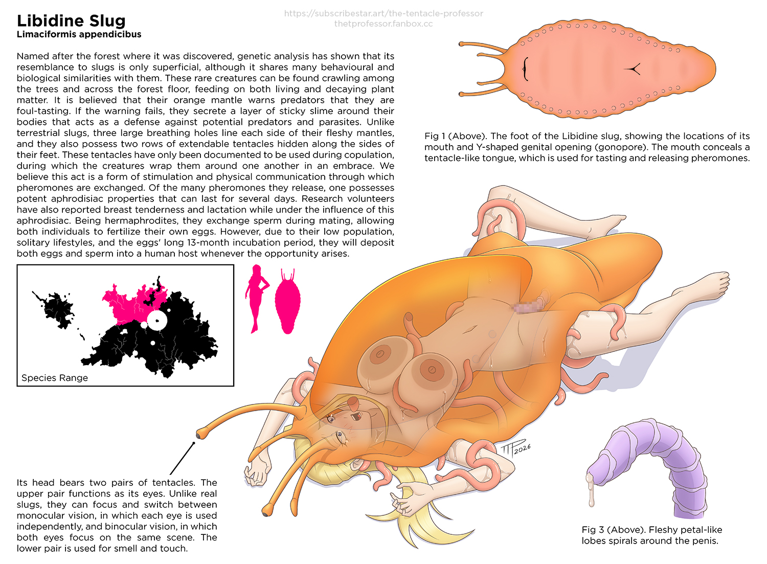 bestiality impregnation, blonde female, blonde hair, dr. elizabeth (ttp), impregnation, interspecies, interspecies impregnation, lore, monster, monster on female, sci-fi, science fiction, scientist, slug, tentacle, tentacles, the tentacle professor, vaginal penetration, x-ray