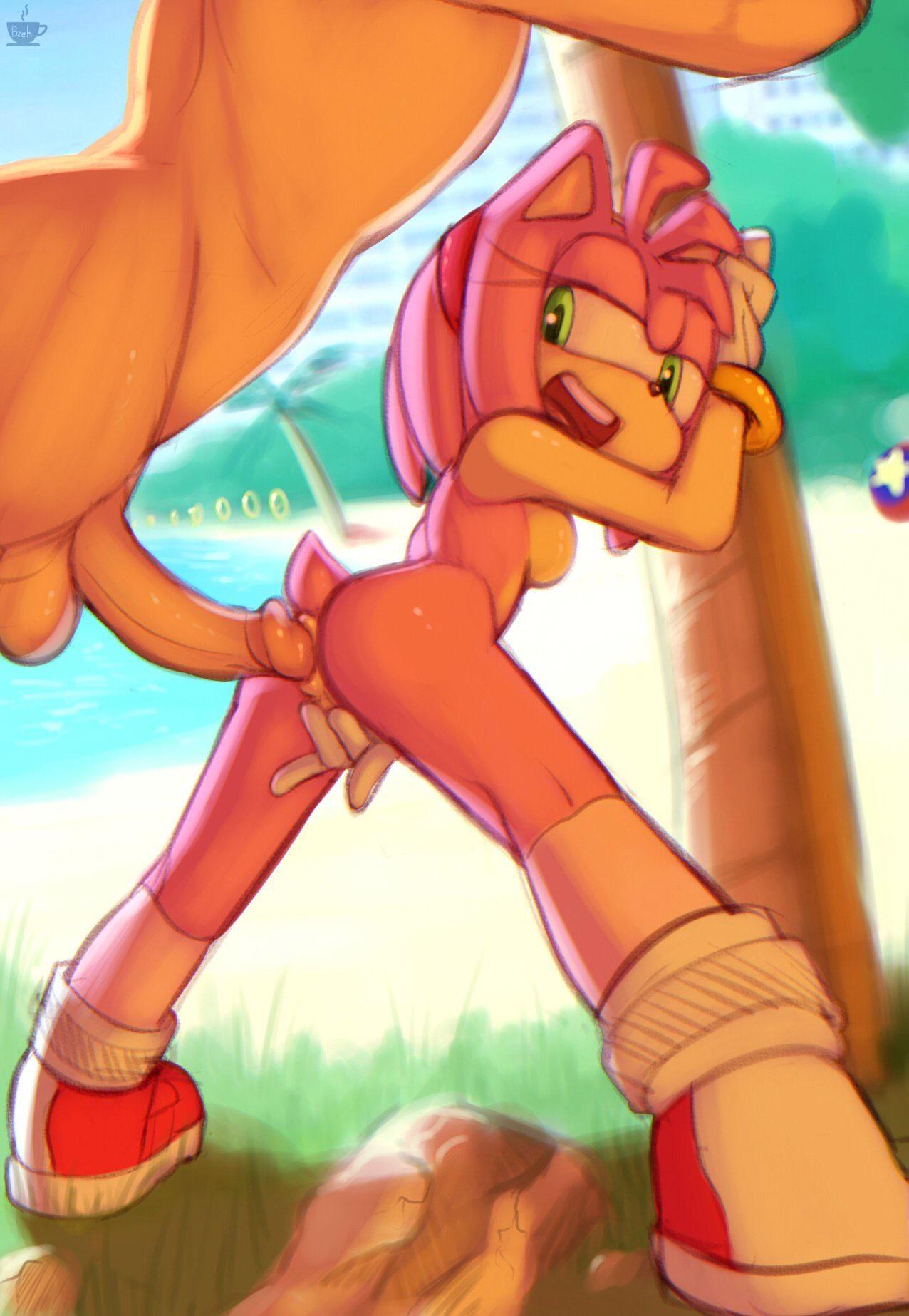 1boy, 1girls, amy rose, anal, anal sex, anthro, anthro on human, beach, beach sex, female, human, male, nude, penis, smaller female, sonic (series), sonic the hedgehog (series)