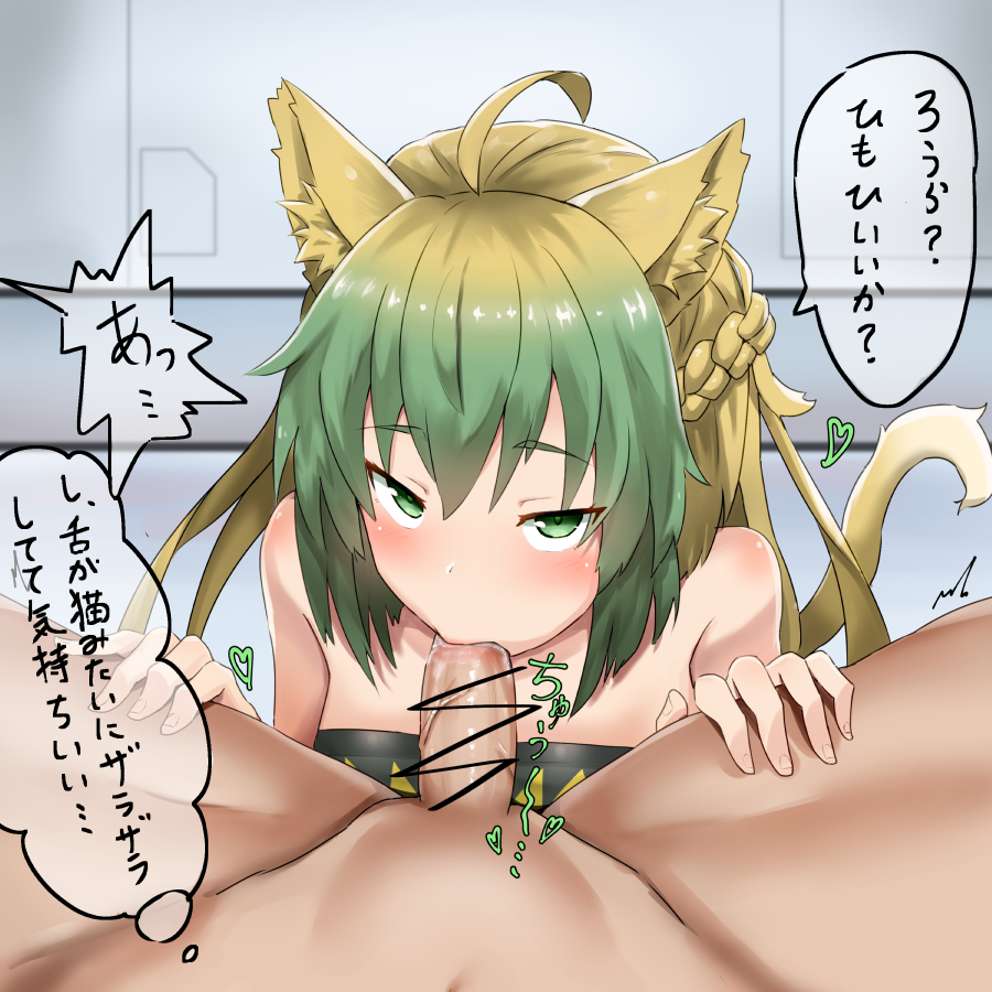 atalanta (fate), blowjob, cat girl, catgirl, fate (series), fate/apocrypha, fate/grand order, fellatio, female, looking at viewer, pov, tagme, two-tone hair, yuzu kiro
