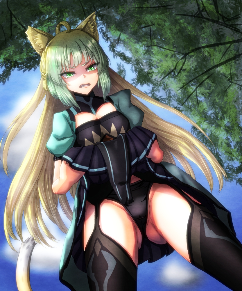 angry angry_face atalanta_(fate) black_panties catgirl fate/apocrypha fate/grand_order fate_(series) free_note017 panties skirt_lift tagme