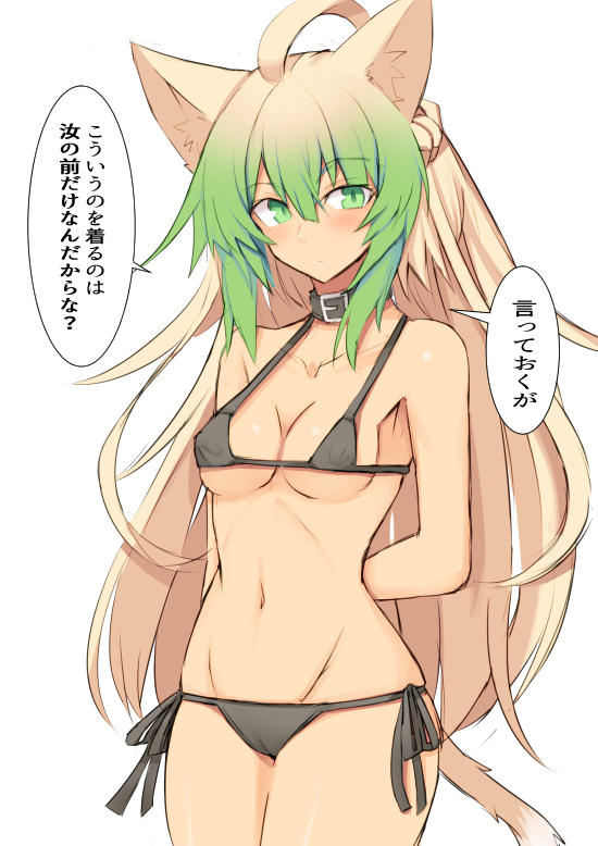 atalanta_(fate) cameltoe catgirl fate/apocrypha fate/grand_order fate_(series) micro_bikini nahu small_breasts