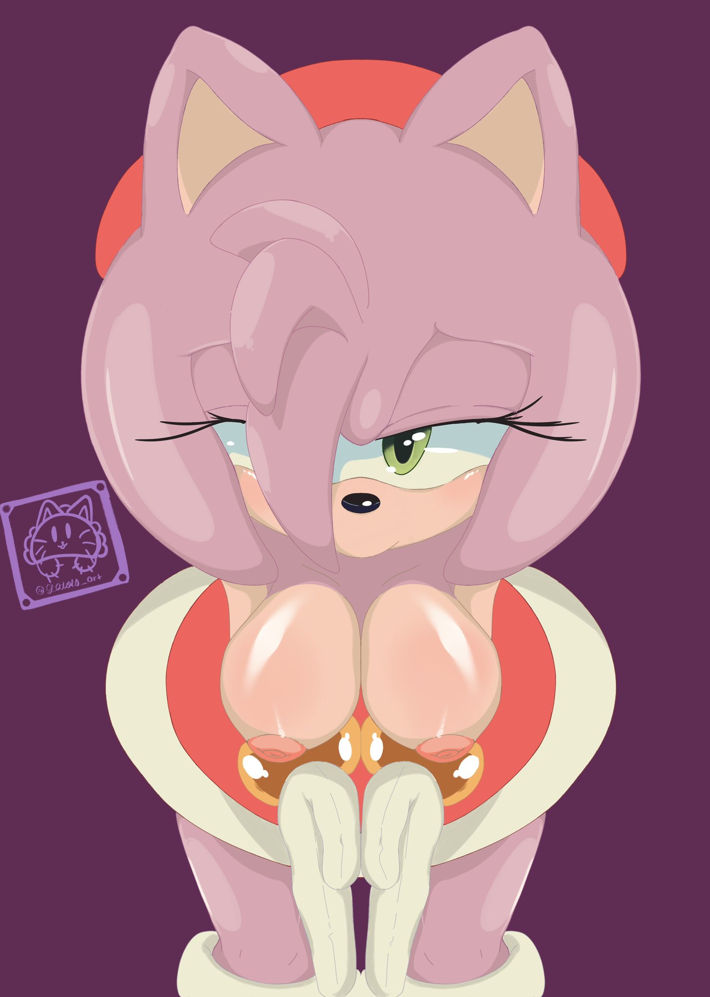 amy_rose female furry gatako_art sega sonic_(series)