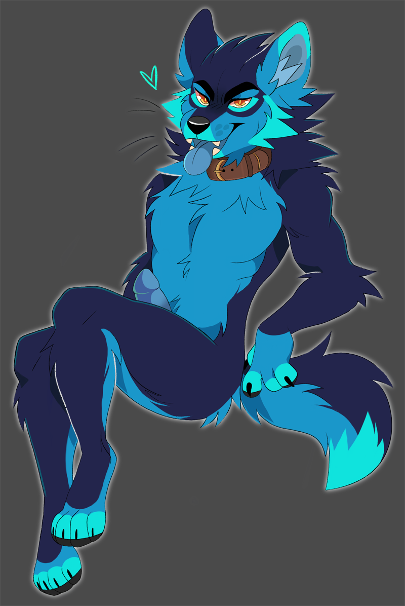 anthro blue_body blue_fur canid canine canis collar digital_media_(artwork) fur furry furry_only genitals hair happy heart male male_only mammal nude penis princelykaden riptide_(infoxicated) short_hair simple_background solo tail tongue tongue_out wolf