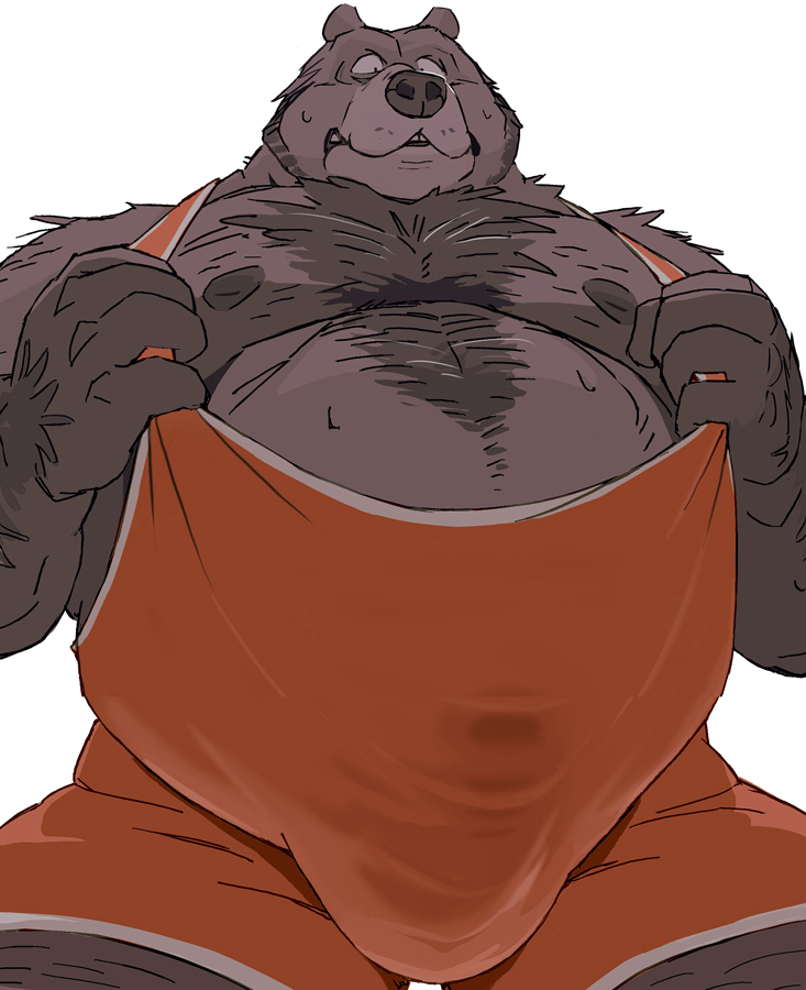 1boy 2021 anthro belly body_hair bulge chest_hair facial_hair genital_outline hairy humanoid_hands male mammal moobs motogen nipples overweight overweight_male penis_outline s_h_bear simple_background solo solo_male ursid white_background wrestling_singlet