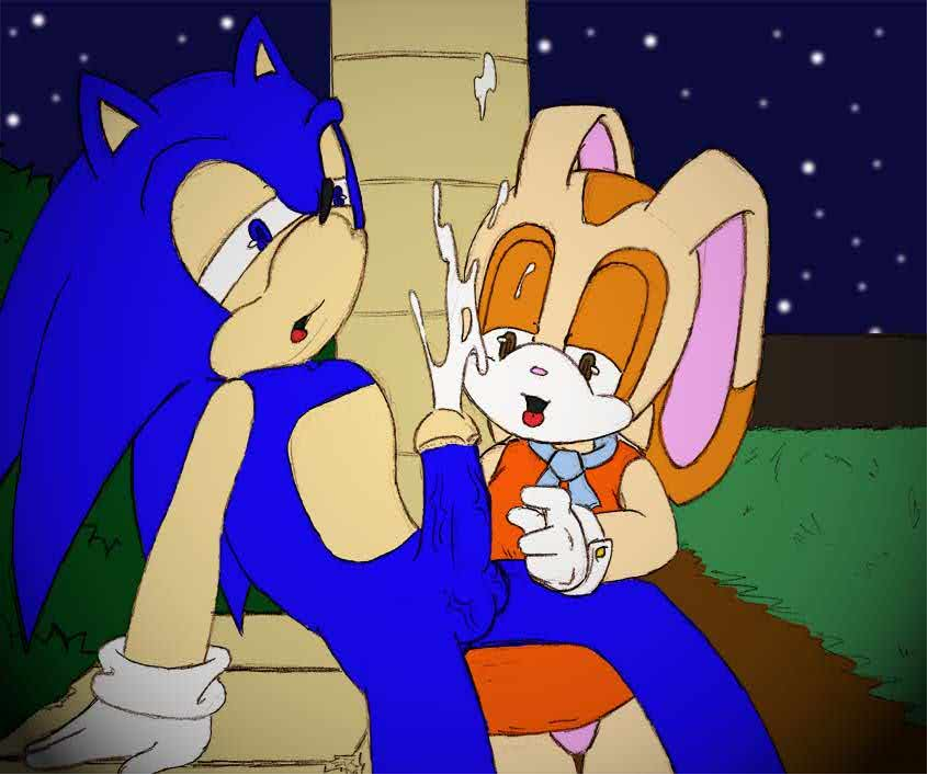 color colored cream_the_rabbit sonic_(series) sonic_the_hedgehog sonic_the_hedgehog_(series) tagme telsa