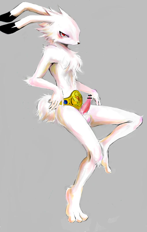 belt blush censored closed_mouth color erection furry king_kazuma male male_only nude open_eyes penis rabbit red_eyes sitting summer_wars white_fur