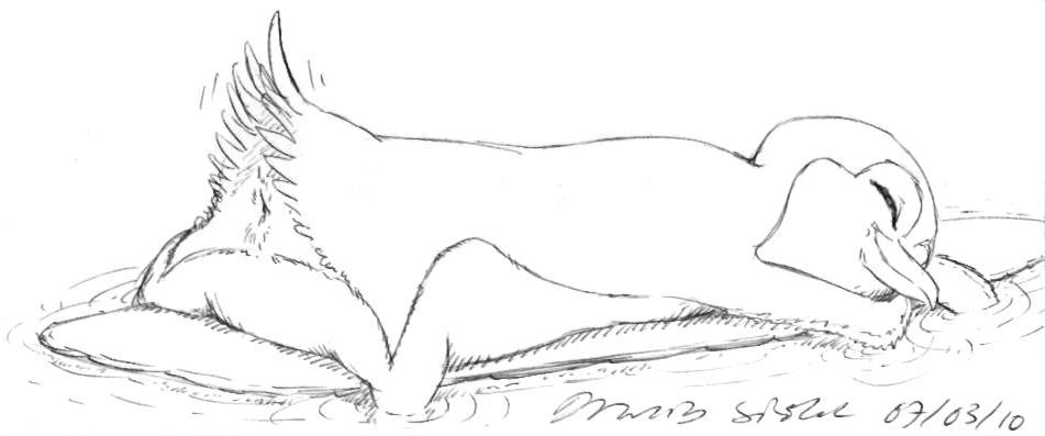 anus asthexiancal female feral furry lani_aliikai monochrome pencil_(artwork) penguin surf's_up