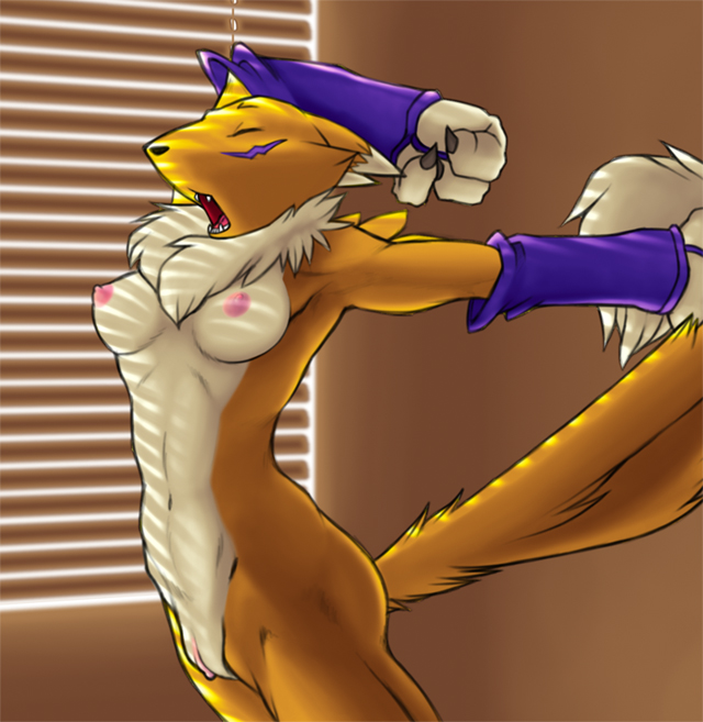 anthro arched_back armpits arms_up breasts bridal_gauntlets clitoris digimon furry gadonstriom indoors medium_breasts mostly_nude nipples renamon standing stretch tagme tail venetian_blinds yawn