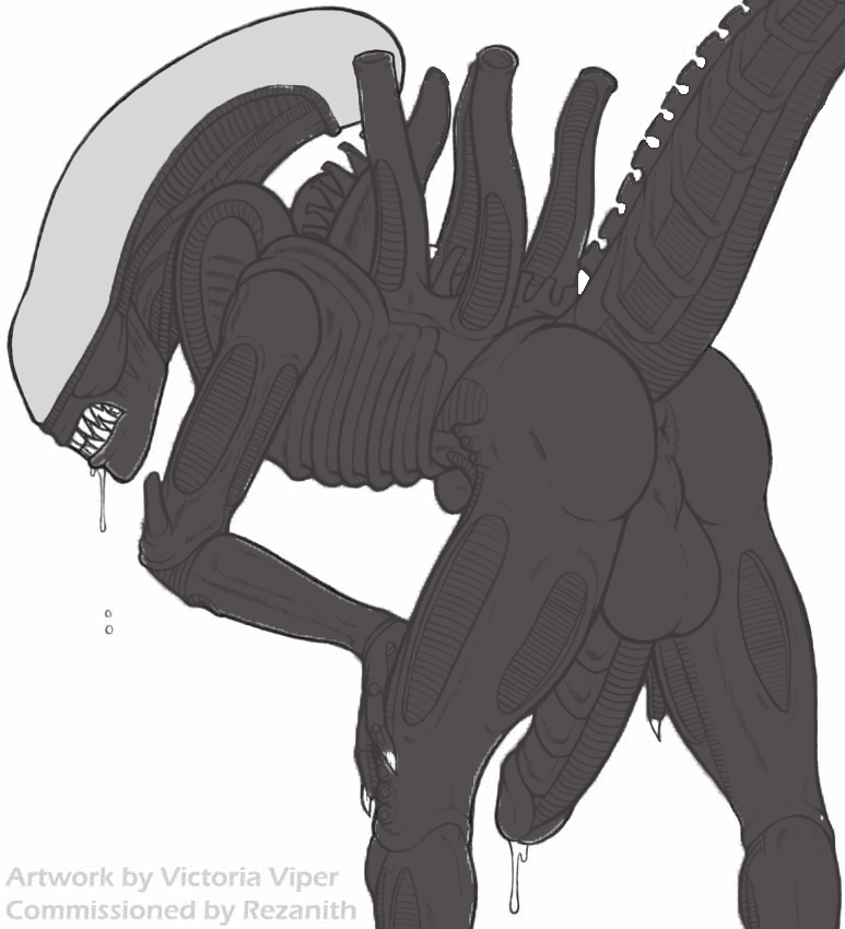 1boy 2011 alien alien_(franchise) anthro anus ass backsack balls bent_over big_balls big_penis black_anus black_penis black_skin cum drooling erection h.r._giger hands_on_knees huge_balls huge_cock humanoid_penis looking_at_viewer looking_back male male_only male_xenomorph nude pencil_(artwork) penis perineal_raphe plain_background precum precum_drip presenting presenting_anus presenting_hindquarters presenting_penis raised_tail rezanith saliva salivating sharp_teeth solo teeth traditional_media_(artwork) victoria_viper white_background xenomorph