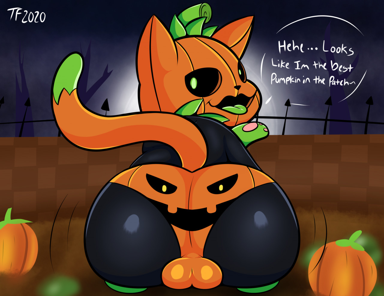 animate inanimate, anthro, ass, balls, balls outline, big ass, big butt, black body, clothing, dipstick tail, domestic cat, elemental creature, english text, felid, feline, felis, femboy, flora fauna, food, food creature, fruit, gay, gay male, genital outline, halloween, holidays, homosexual, homosexual male, living fruit, looking at viewer, looking back, male, male penetrated, male penetrating, male penetrating male, mammal, markings, open mouth, paws, plant, plant humanoid, pumkat, pumpkin, pumpkin butt, pumpkin head, solo, solo male, tail, tail markings, tepigfan101, text, tongue, underwear, yaoi