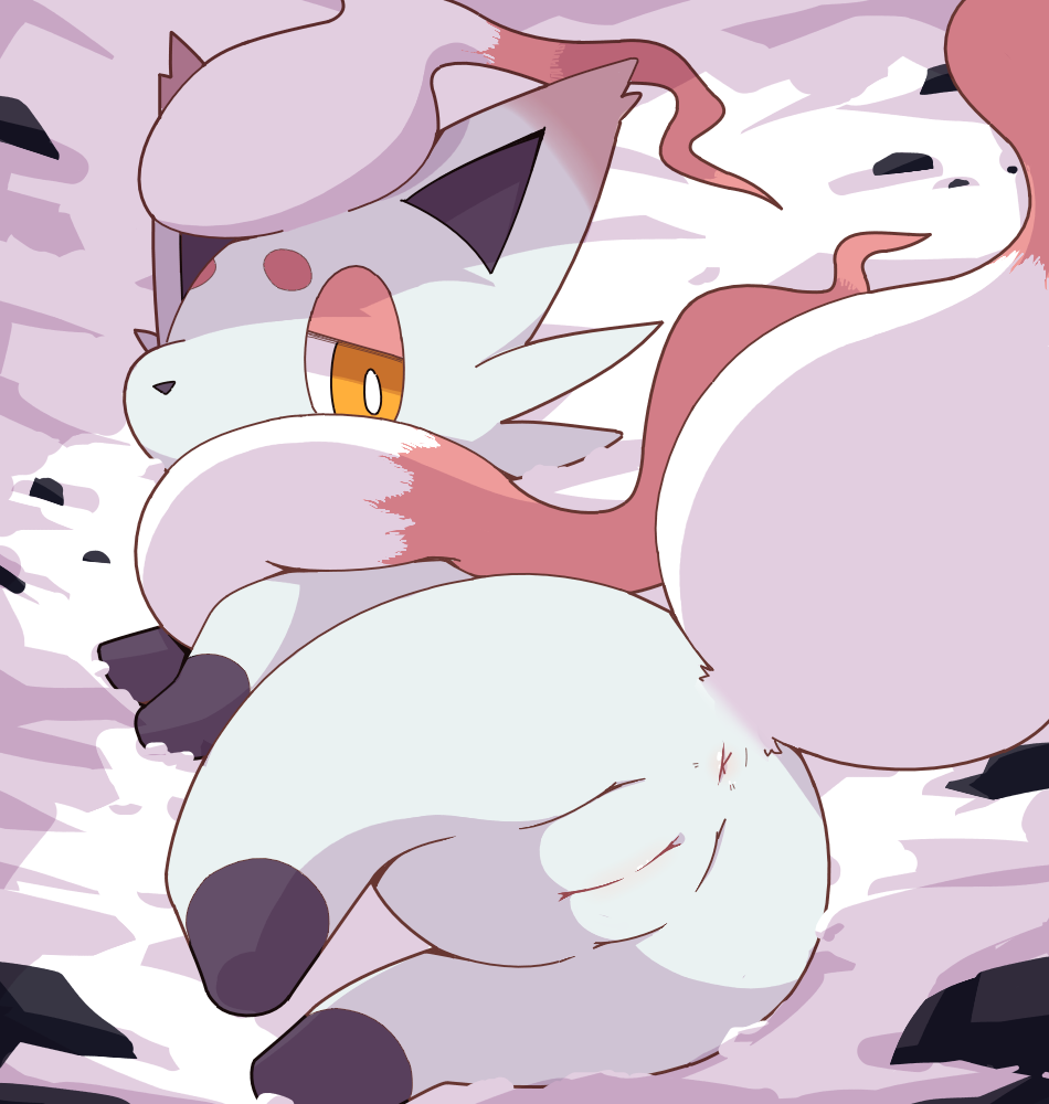 anus black_body black_fur crepix female feral fur furry furry_only genitals hisuian_zorua looking_at_viewer looking_back lying nintendo outside pink_body pink_fur pokémon_(species) pokemon pokemon_legends:_arceus pussy regional_form_(pokémon) snow solo tail video_games white_body white_fur