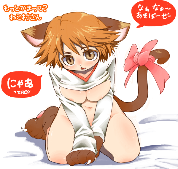 bow brown_eyes brown_hair cat_ears cat_tail chinjuu_hibakichi claws genderswap_(mtf) hanamura_yousuke kneeling large_breasts open_mouth paws persona persona_4 rule_63 shirt_lift shirt_up tail_bow