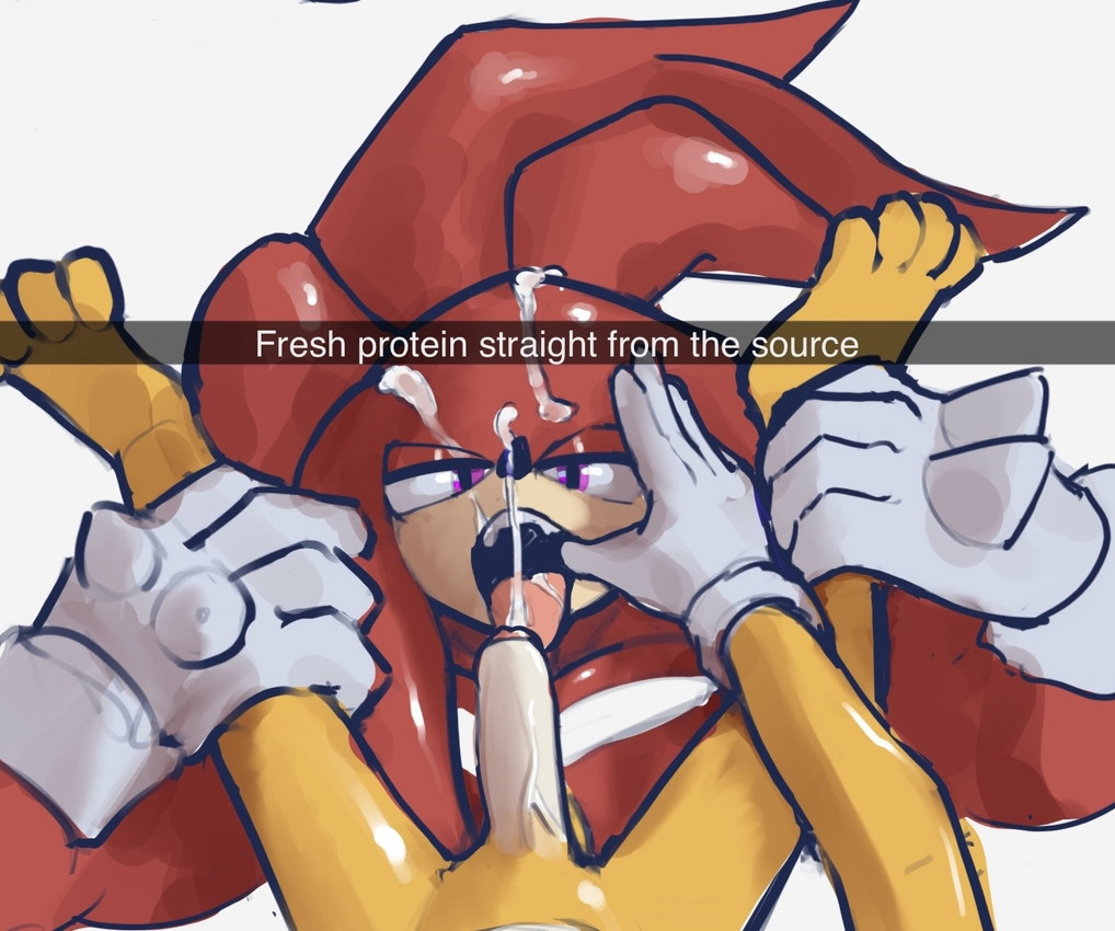 age difference, anitwenty, anthro, anthro on anthro, blowjob, cub, knuckles the echidna, male, male cub, male only, sega, sonic (series), sonic the hedgehog (series), tagme, tails the fox