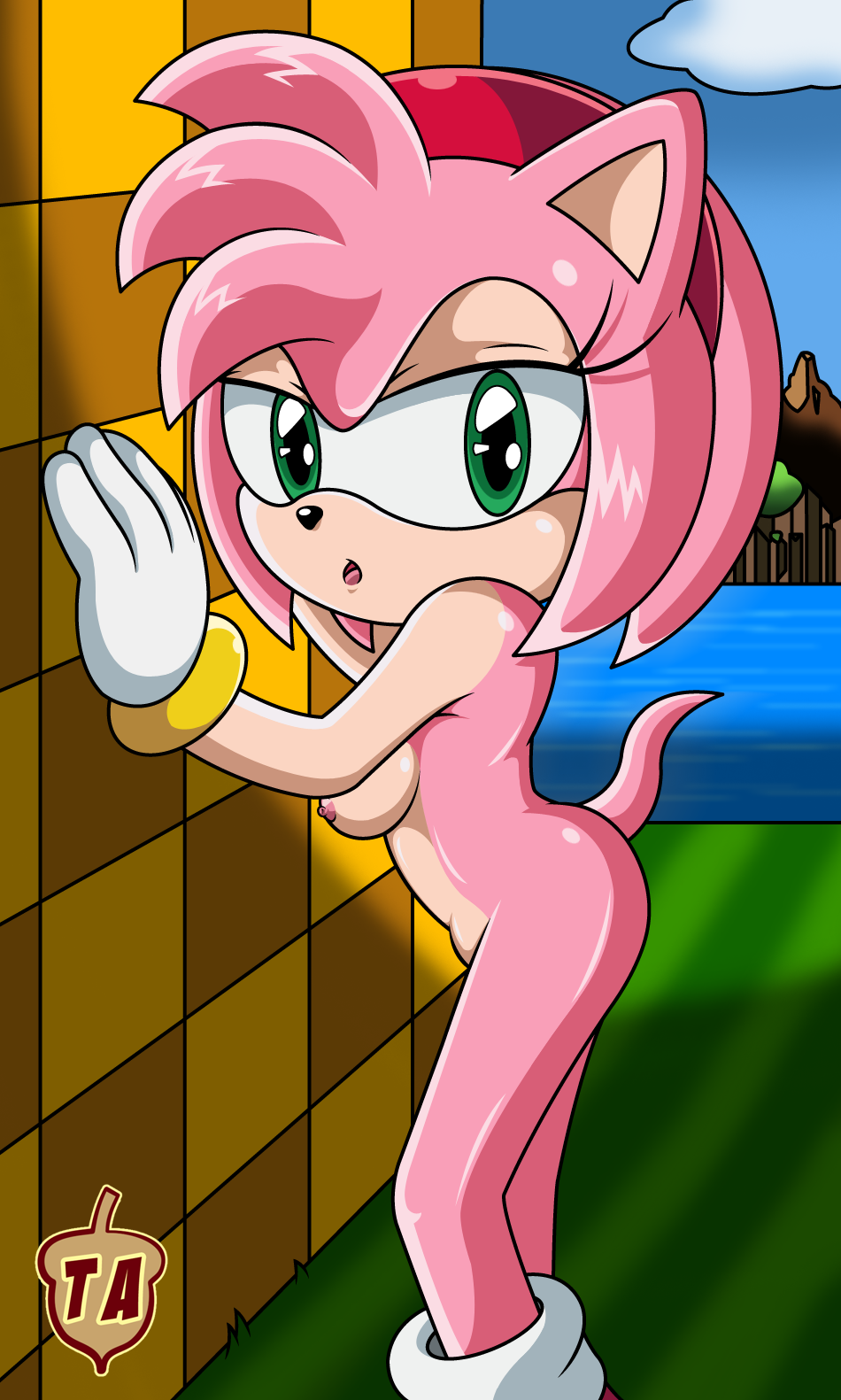 amy_rose pink_fur pink_hair solo sonic_(series) sonictopfan