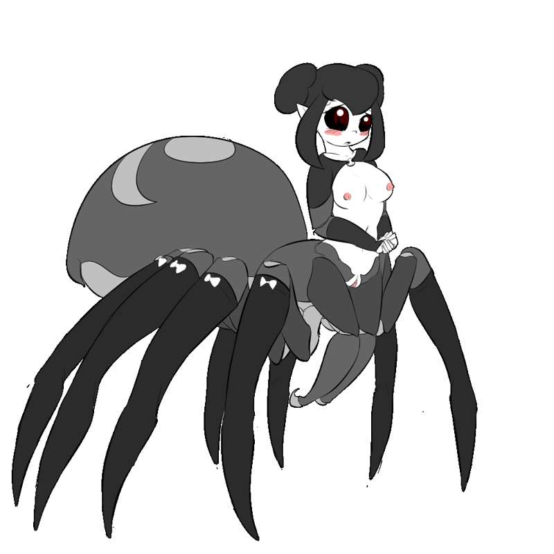 arachne arachnid arachnid_humanoid blush breasts cesil_(zedrin) embarrassed hair_buns maid monster_girl naked nipples pink_nipples pussy servant small_breasts socks spider spider_girl spider_has_puss_puss zedrin