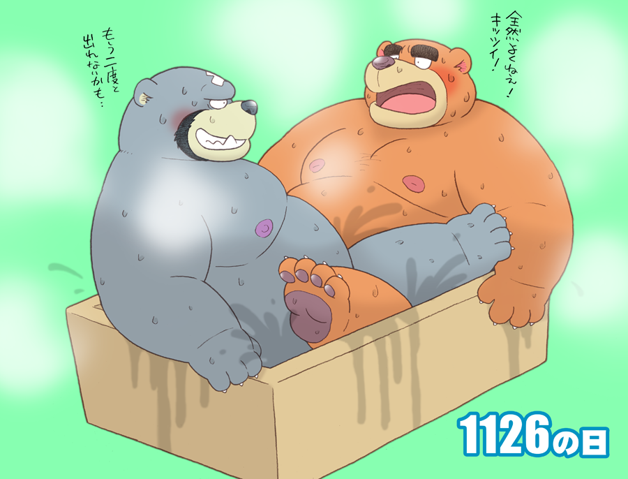 2021 animal_crossing anthro belly brown_body curt_(animal_crossing) duo grey_body japanese_text kemono male male/male male_only mammal mature_male moobs nintendo nipples overweight overweight_male teddy_(animal_crossing) text ursid video_games wantaro wet