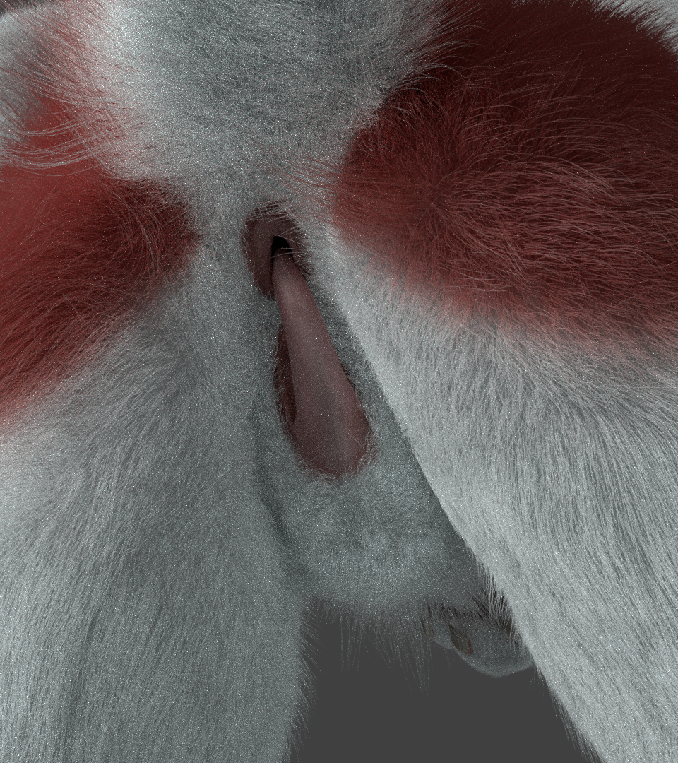 3d_(artwork) anthro anus ass clitoral_hood digital_media_(artwork) female jwestley penetration prehensile_clitoral_hood racf92 sergal solo untied_verbeger