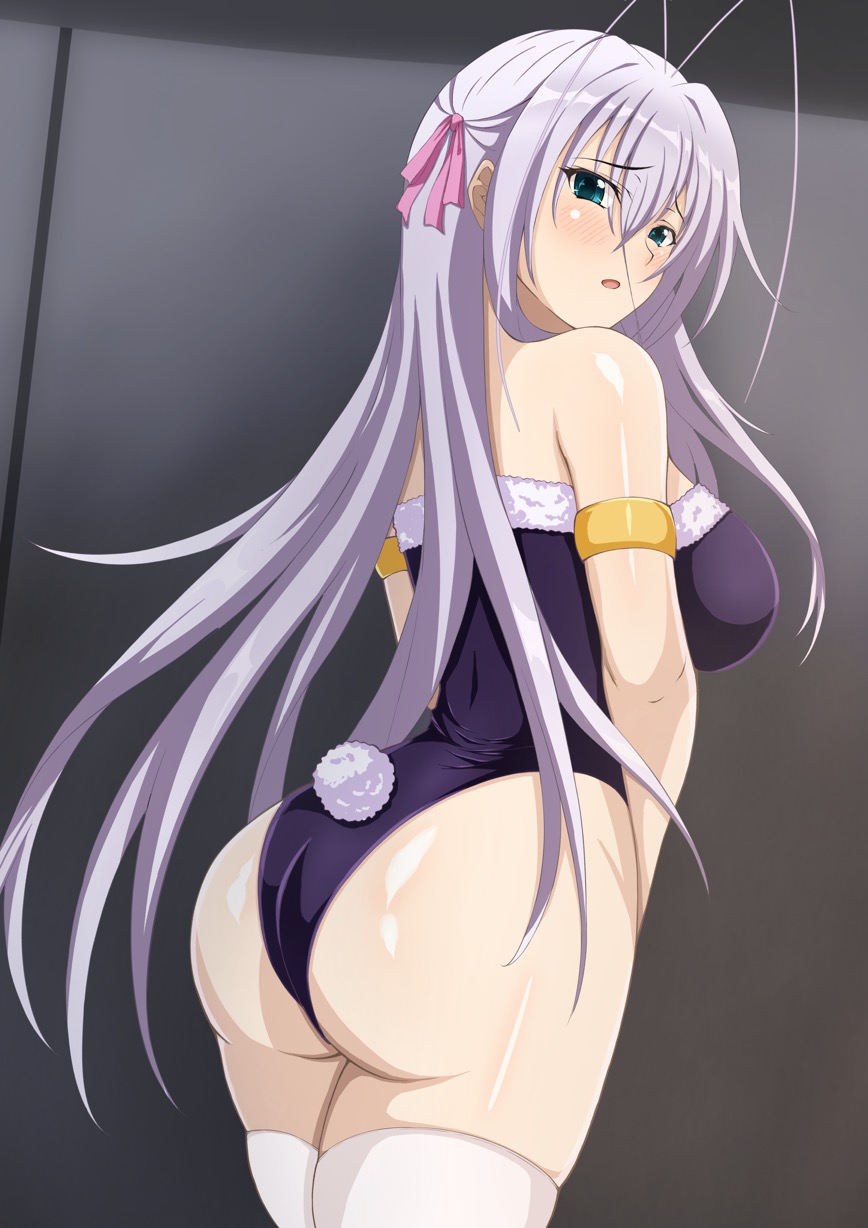 ass, breasts, erbiek, female, high school dxd, looking at viewer, looking back, playboy bunny, rabbit tail, rossweisse, silver hair, tagme, white legwear