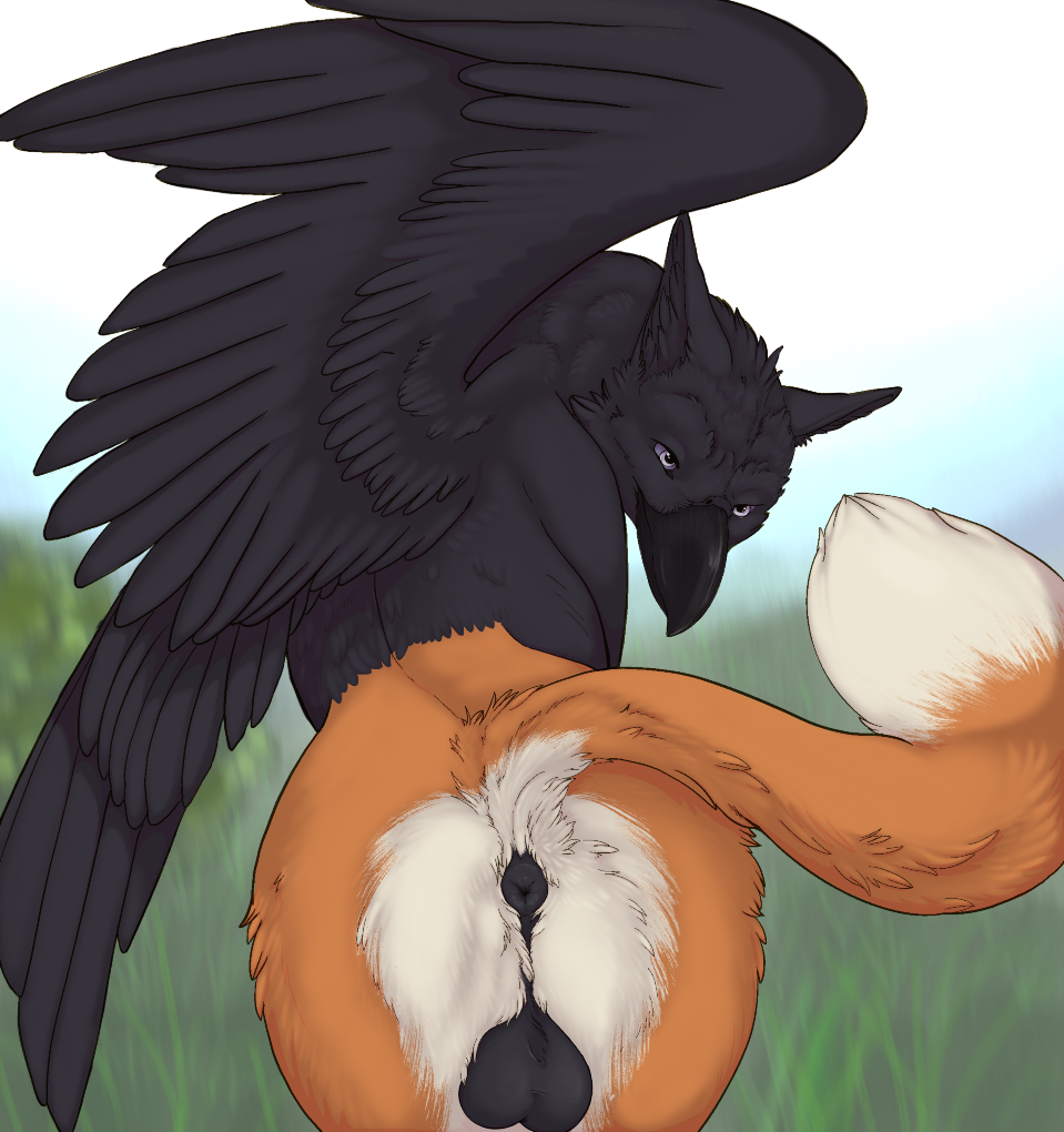 alexandros anus ass avian balls bird canid canine corvid corvus_(genus) feathered_wings feathers feral fox genitals gryphon hybrid male mammal mythological_avian mythological_creature mythology oscine passerine peanertgallery presenting raven_(bird) solo wings