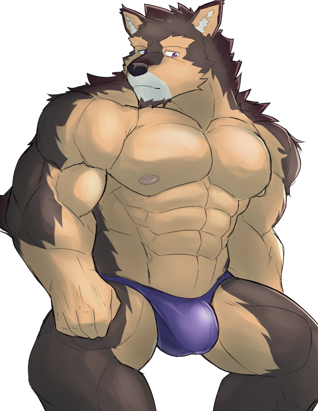 2021 anthro black_nose brown_body brown_fur bulge canid canine canis clothed clothing domestic_dog fur hi_res lifewonders live-a-hero male male_only mammal multicolored_body multicolored_fur muscular muscular_anthro muscular_male nipples pubraseer purple_eyes serenaught simple_background solo standing tan_body tan_fur underwear underwear_only video_games white_background white_body white_fur