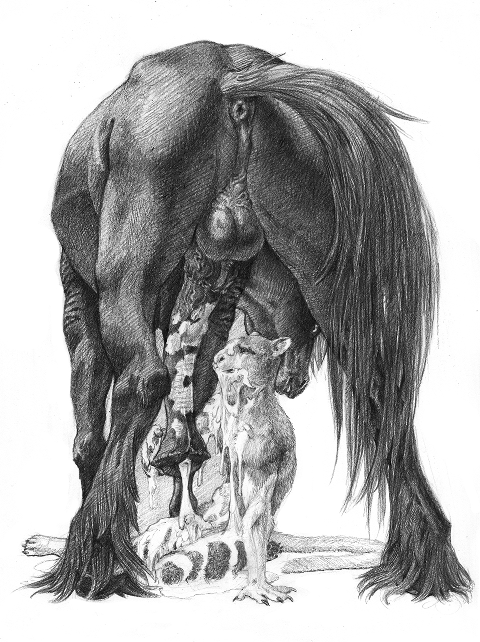 2021 a_inc anatomically_correct anatomically_correct_anus anatomically_correct_genitalia anatomically_correct_penis animal_genitalia animal_penis anthro anthro_on_feral anus balls bodily_fluids bucephalus cum cum_everywhere cum_on_chest cum_on_face cum_on_ground equid equine equine_penis fellatio feral flared_penis genital_fluids genitals greyscale hi_res horse kinoborikun macropod male male/male mammal marsupial messy monochrome oral penile penis servicing_from_below sex tree-kangaroo zoophilia