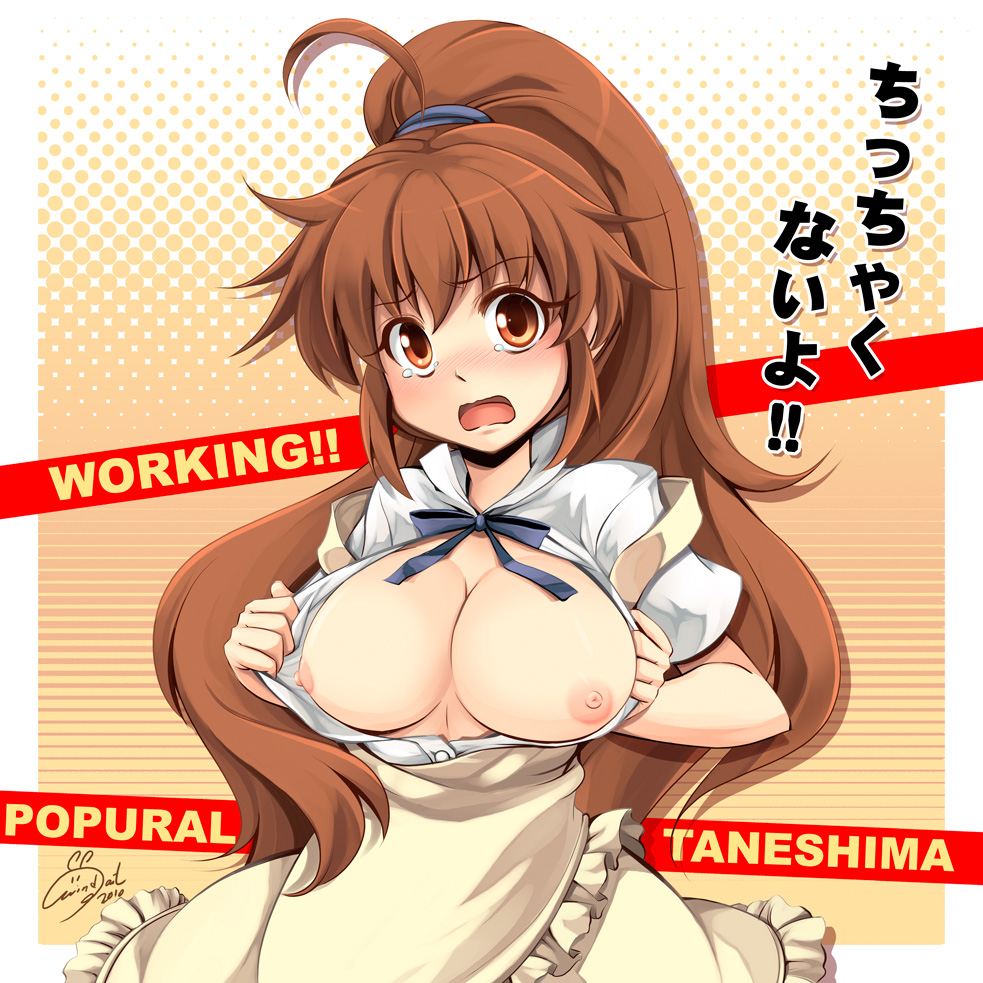 apron blush breasts brown_eyes brown_hair engrish female female_only human large_breasts nipples open_clothes open_shirt pointy_chin ponytail poplar_taneshima ranguage shirt signature solo taneshima_popura tear tied_hair windart working!!