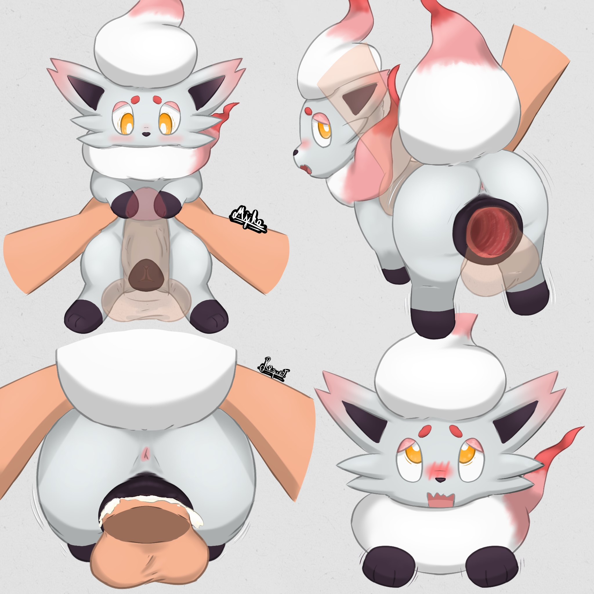 2025, animal genitalia, animal vulva, anus, ass, backsack, balls, balls deep, big penis, blush, blush lines, bodily fluids, canid, canine, cum, cum inside, deep penetration, disembodied penis, duo, female, feral, fox, fur, generation 8 pokemon, genital fluids, genitals, grabbing another, grey body, grey fur, hi res, hisuian form, hisuian zorua, human, internal, internal vaginal, interspecies, larger human, larger male, lifting another, looking at another, looking at genitalia, looking back, looking pleasured, looking up, majika, male, male/female, mammal, multicolored body, multicolored fur, neck tuft, nervous, nintendo, open mouth, paws, penetration, penis, pokemon, pokemon (species), pokephilia, regional form (pokemon), signature, simple background, size difference, smaller female, smaller feral, smaller penetrated, tail, translucent, tuft, vaginal penetration, vulva, waist grab, white body, white fur, zoophilia