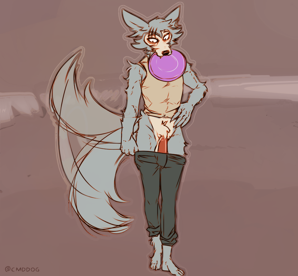 2021 anthro artist_name balls beastars black_bottomwear black_clothing black_pants bottomwear canid canine canis clothed clothing digital_media_(artwork) frisbee frisbee_in_mouth fur furry furry_only genitals grey_body grey_fur lawyerdog legoshi_(beastars) male male_only mammal mouth_hold pants penis shirt simple_background sleeveless_shirt solo tail tail_motion tailwag topwear wolf