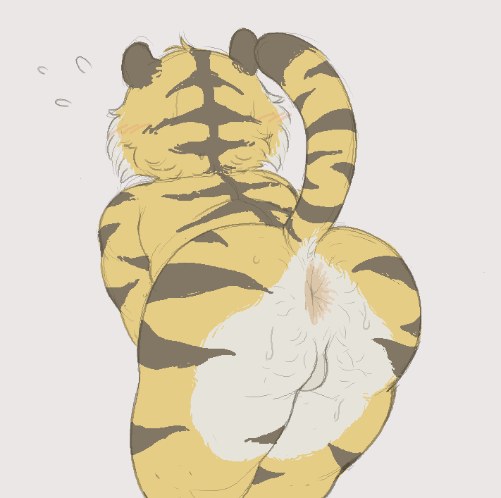 2025 anthro anus ass backsack balls bent_over big_anus big_butt blush blush_lines bodily_fluids body_hair brown_body brown_fur brown_stripes butt_hair cafongterua digital_media_(artwork) felid flat_colors flying_sweatdrops fur genitals kemono male mammal multicolored_body multicolored_fur muscular muscular_anthro muscular_male nude orange_body orange_fur pantherine portrait presenting presenting_anus raised_tail short simple_background solo standing stocky stripes sweat sweatdrop sweaty_butt tail thick_thighs three-quarter_portrait three-quarter_view tiger white_background white_body white_fur
