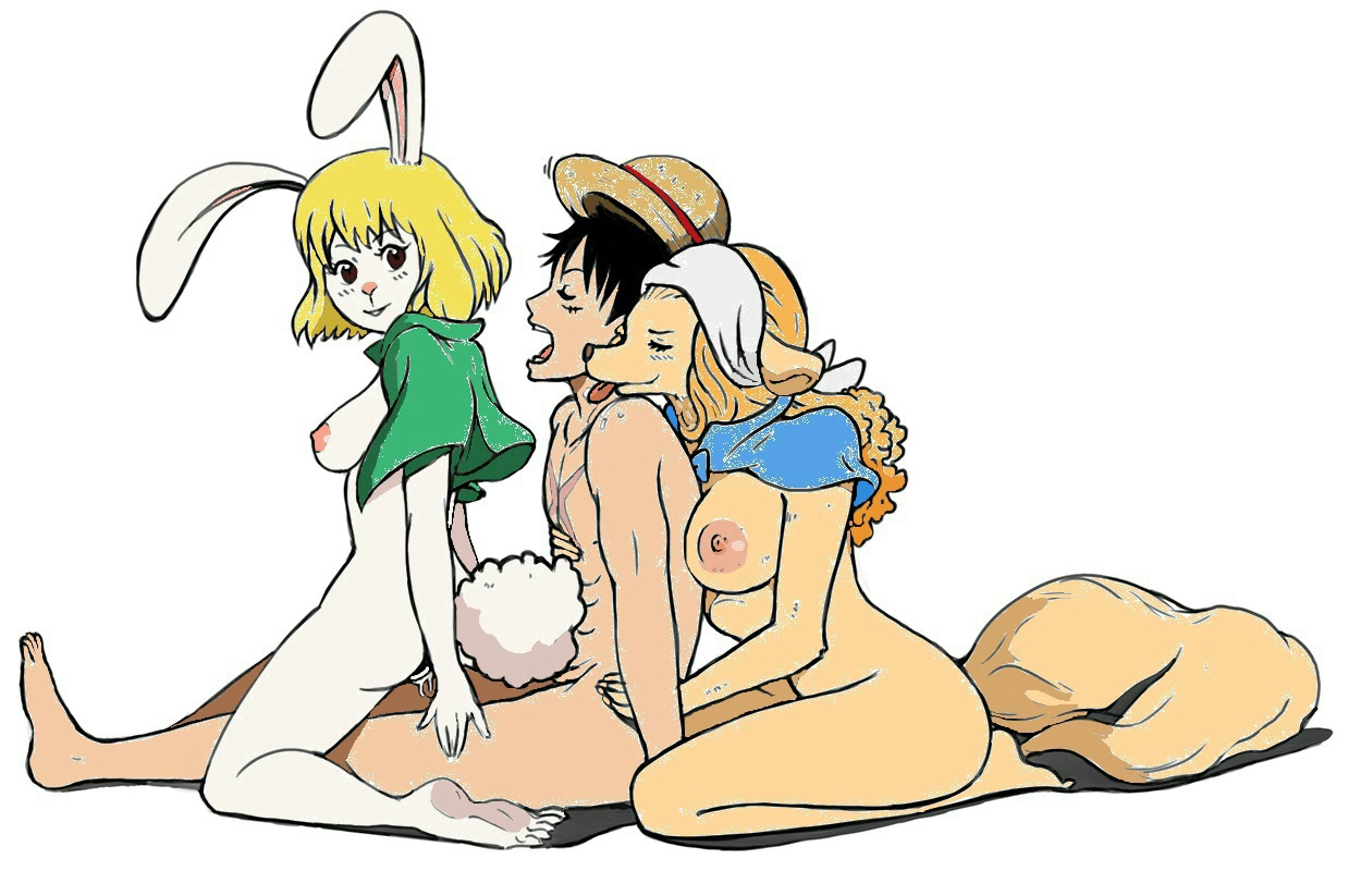 1boy, 2girls, abs, big breasts, black hair, black-haired male, blonde hair, blonde-haired female, breasts, bunny girl, carrot (one piece), dog girl, female, furry, furry female, grabbing from behind, male, monkey d luffy, on top, one piece, reverse cowgirl position, straw hat, threesome, trio, wanda (one piece)