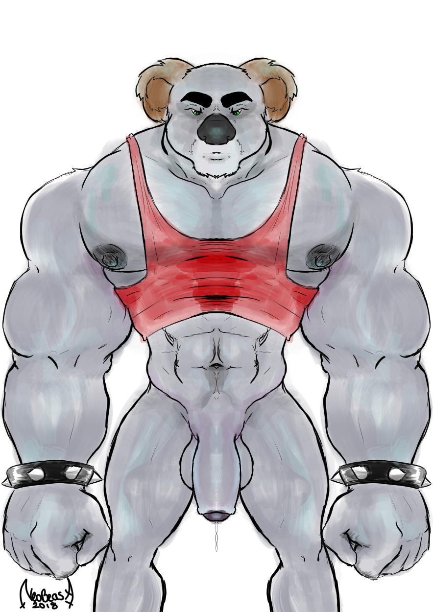 10s 1boy 2018 anthro balls bara belly_button bracelet crash_(series) dated fist flaccid foreskin green_eyes grey_fur koala koala_kong male male_only nipples penis precum precum_drip red_tank_top signature solo spiked_bracelet sweat tank_top video_games white_background xneobeastx