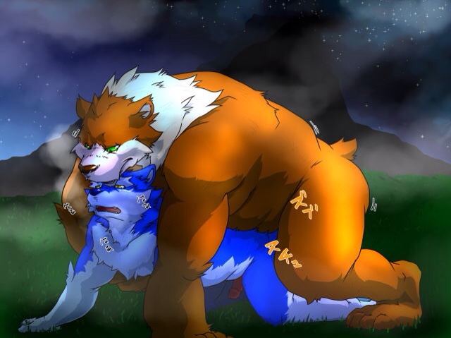 2016 anal anthro belly blue_body blue_nose brown_body brown_fur canid canine canis duo erection from_behind_position fur genitals green_eyes japanese_text kemono male male/male mammal mounting night outside penis sex size_difference star text translated ursid white_body white_fur wolf yukikazefactory