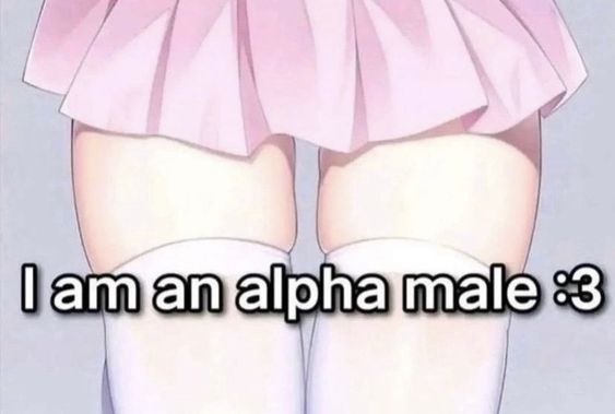 1femboy Rule 34 Image
