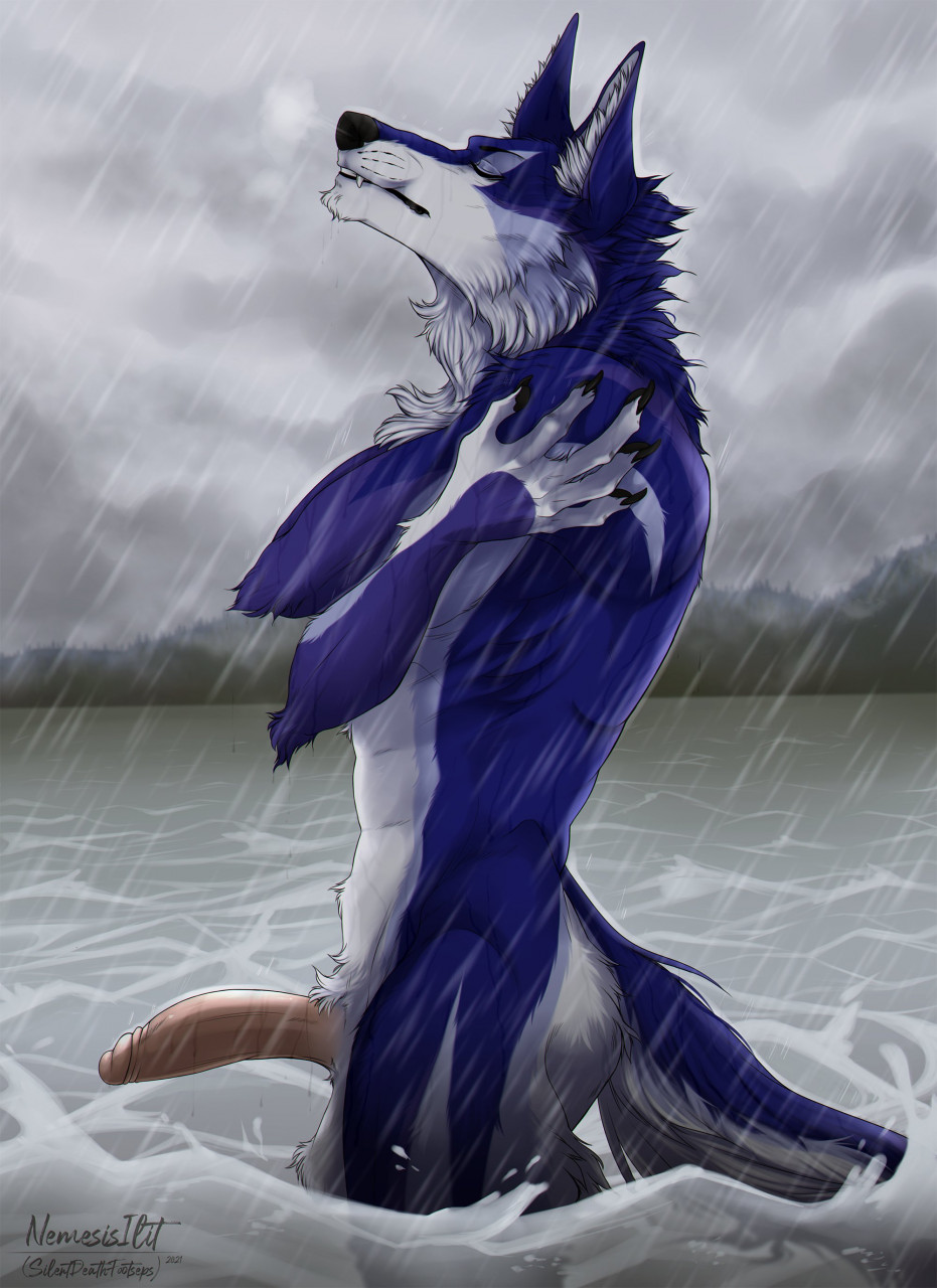 anthro anthro_only balls blue_body blue_fur canid canine canis closed_eyes erection fog fur genitals hi_res lake lean_body male mammal mountain nude outside patrick_(wolfang322) peaceful pecs penis raining relaxing river silentdeathfootsteps simple_background solo wet wolf