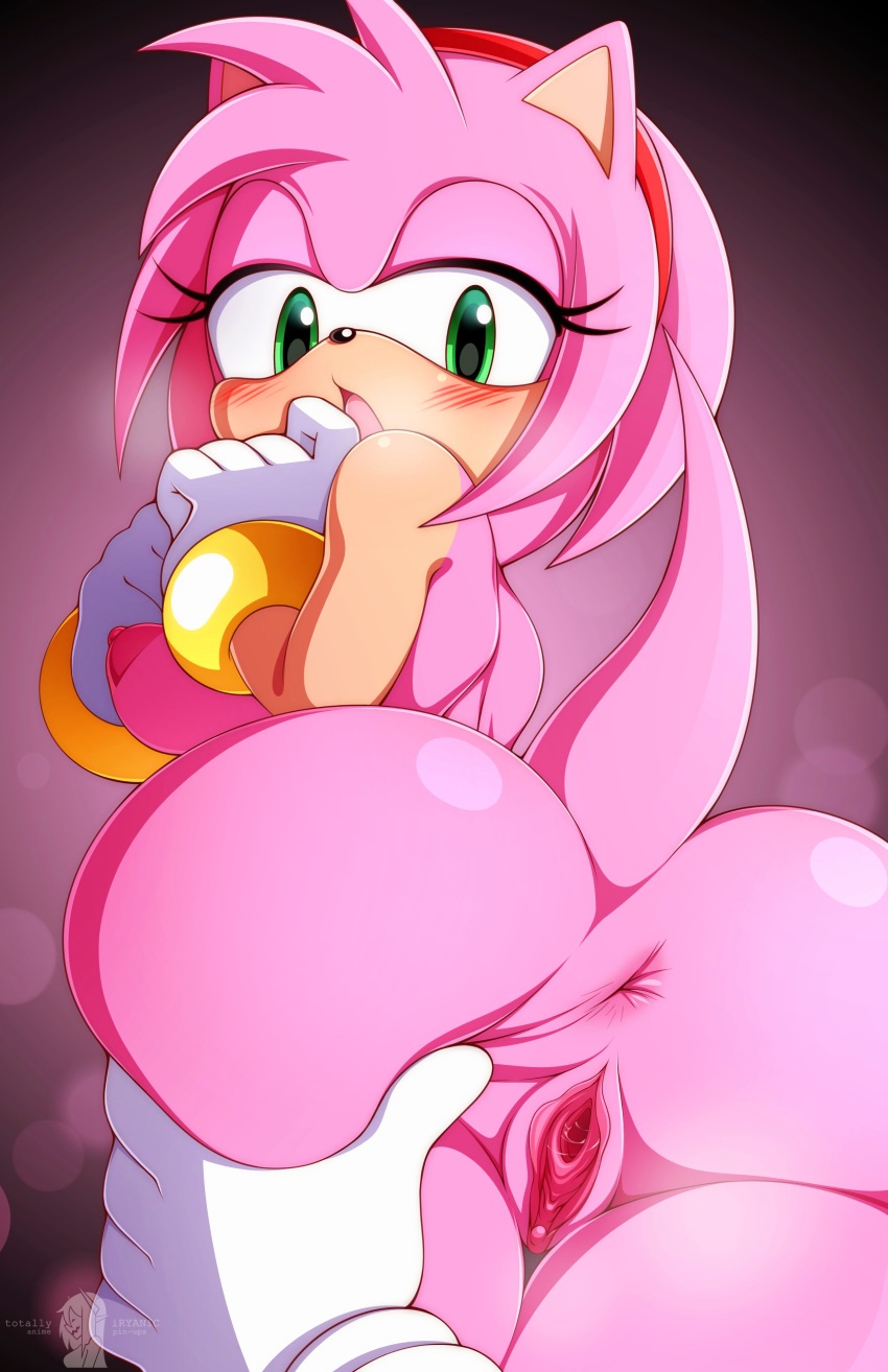 amy rose, female, hedgehog, pink fur, pink hair, sonic (series)