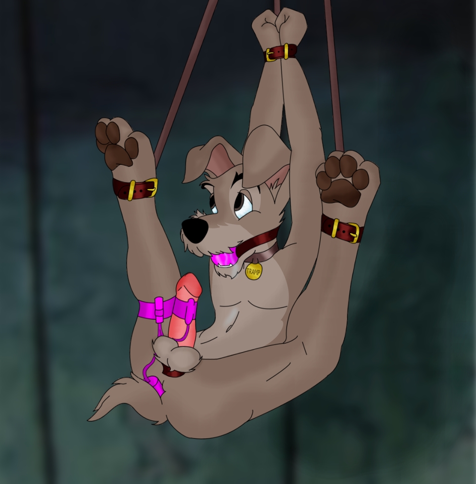 1boy anthro bondage disney dog lady_and_the_tramp male male_only nude penis solo solo_male tagme testicles tramp