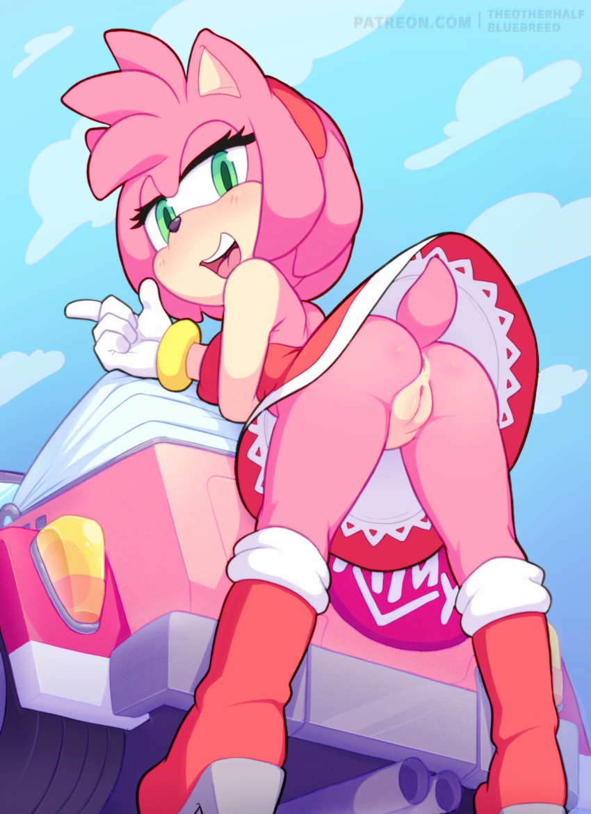 amy_rose car clothing pink_fur pink_hair sonic_(series) team_sonic_racing