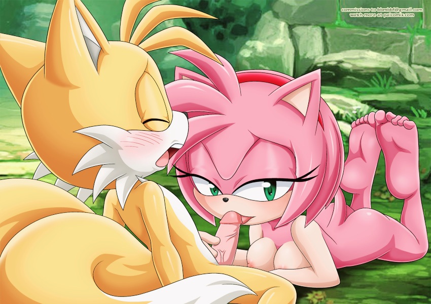 amy rose, anthro, bbmbbf, blowjob, canine, fellatio, female, fox, furry, hedgehog, male, mobius unleashed, orange fur, orange hair, palcomix, pink fur, pink hair, sonic (series), tails, tails the fox