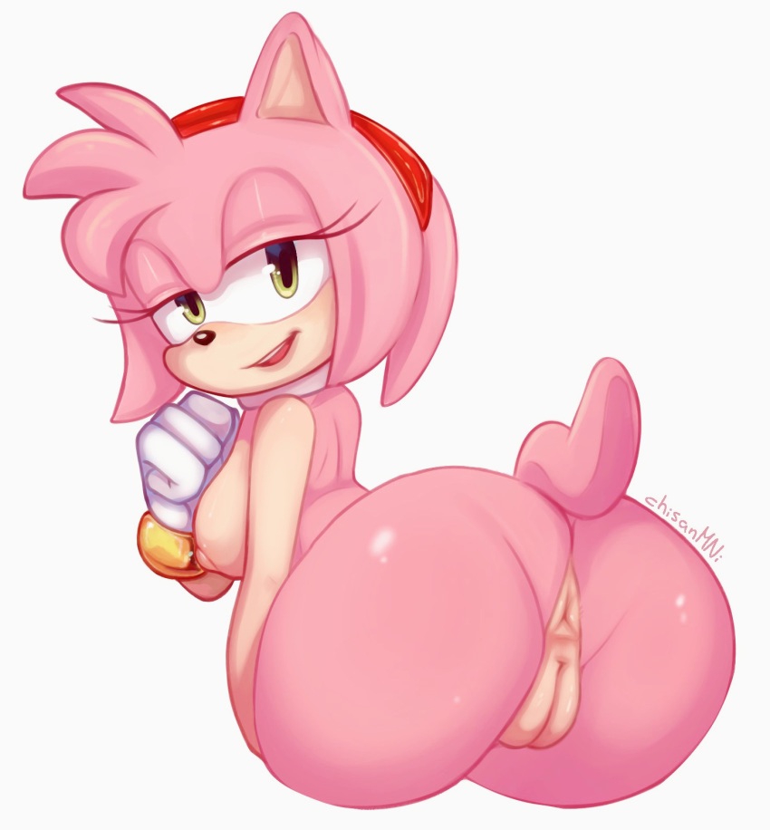 amy rose, ass, female, hedgehog, pink fur, pink hair, sonic (series)