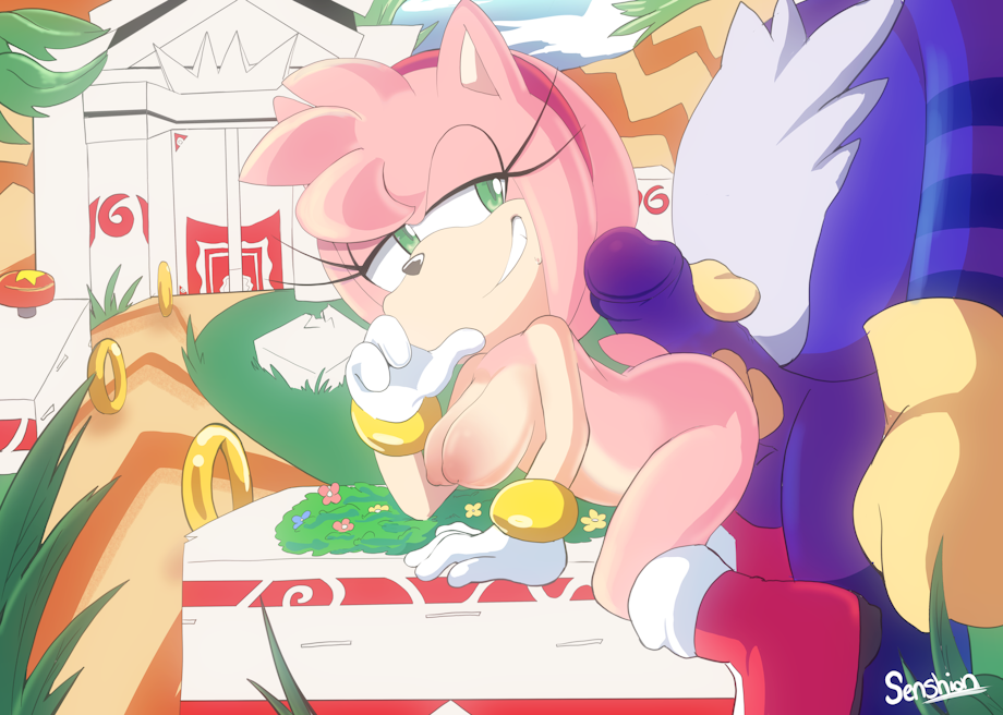 amy rose, big the cat, female, penetration, pink hair, senshion, size difference, sonic (series), sonic the hedgehog (series)