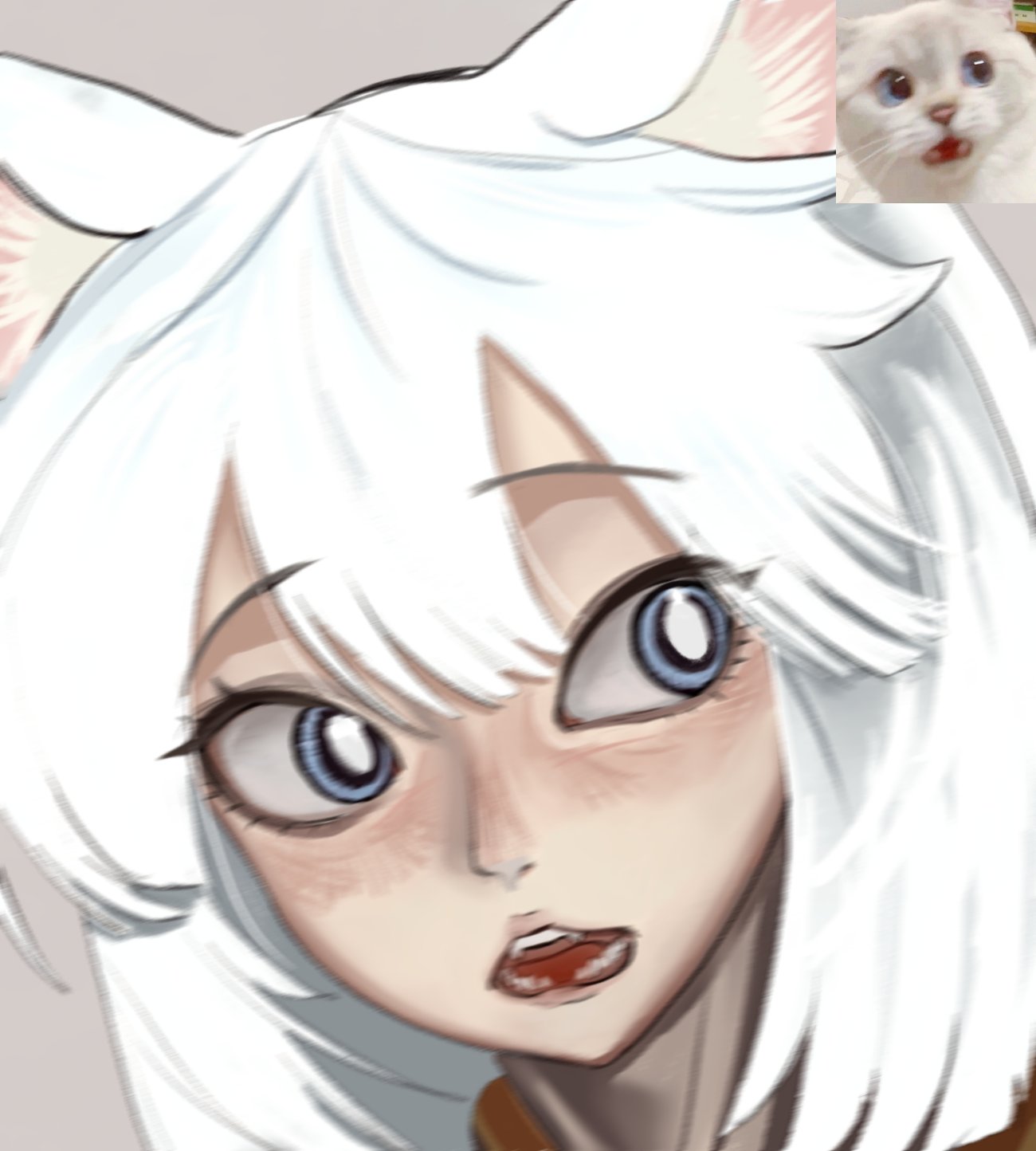 101ho, 1girls, cat ears, cat girl, catgirl, comic, fangs, felinid, felinid sisters comic (101ho), female, meme, pale skin, pale-skinned female, short hair, sister of battle, warhammer (franchise), warhammer 40k, white body, white fur, white hair, white skin