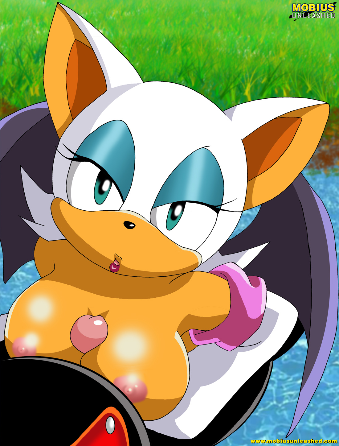 anthro, anthro female, bbmbbf, breasts, clothed sex, dr. eggman, fat male, female, female anthro, furry female, grass, human, human on anthro, interspecies, lake, large breasts, male, male human/female anthro, male on anthro, mobian (species), mobius unleashed, outdoor sex, outdoors, outercourse, paizuri, palcomix, partial male, protagonistsub antagonistdom, relaxing, rouge the bat, sonic (series), sonic x, water, wings