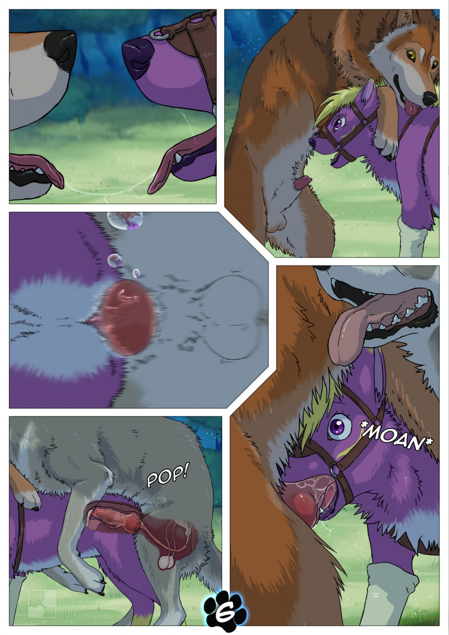 balls canine chainedbirds comic cum cum_inside english_text female feral feral_on_feral fur hair harness juniperskunk male mammal open_mouth penetration penis sheath text vaginal_penetration wolf