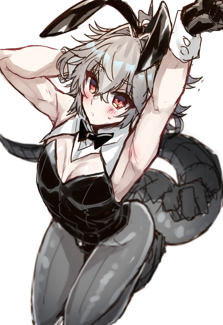 1boy, bulge, bunnysuit, dragon tail, fake animal ears, fate (series), femboy, girly, haoro, male, male only, scales, sieg (fate/apocrypha), solo, tail