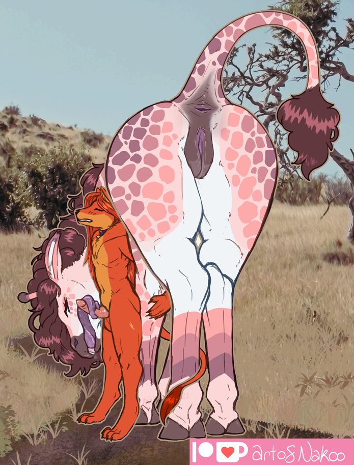 2021 animal_genitalia animal_pussy anthro anus ass balls brown_hair canid canine closed_eyes conditional_dnp duo fellatio female feral fox fur genitals giraffe giraffid hair kneeling knot long_tongue male mammal nakoo oral paws penile pink_body pink_fur presenting presenting_hindquarters pussy red_body red_fur red_hair sex spots tongue tongue_out tonguejob