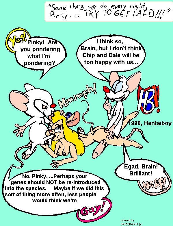 1990s 1999 20th_century animaniacs chip_'n_dale_rescue_rangers disney doggy_style from_behind gadget_hackwrench interspecies mouse nipples penis pinky pinky_and_the_brain the_brain zoophilia