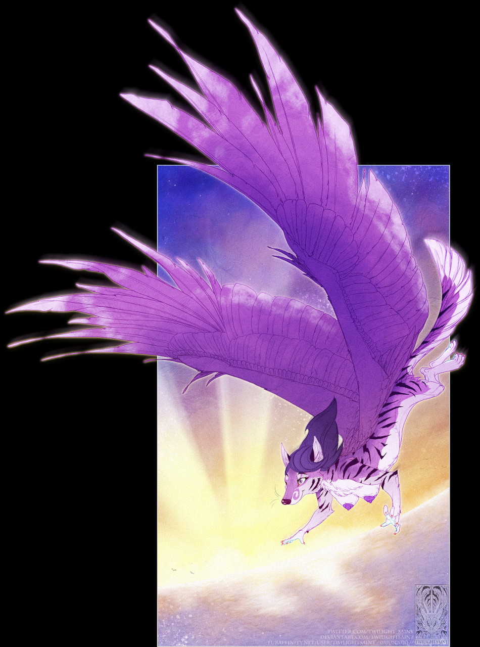 anthro canid canine canis digital_media_(artwork) feathers female flying fur furry hi_res mammal purple solo sunset swooping twilightsaint wings wolf