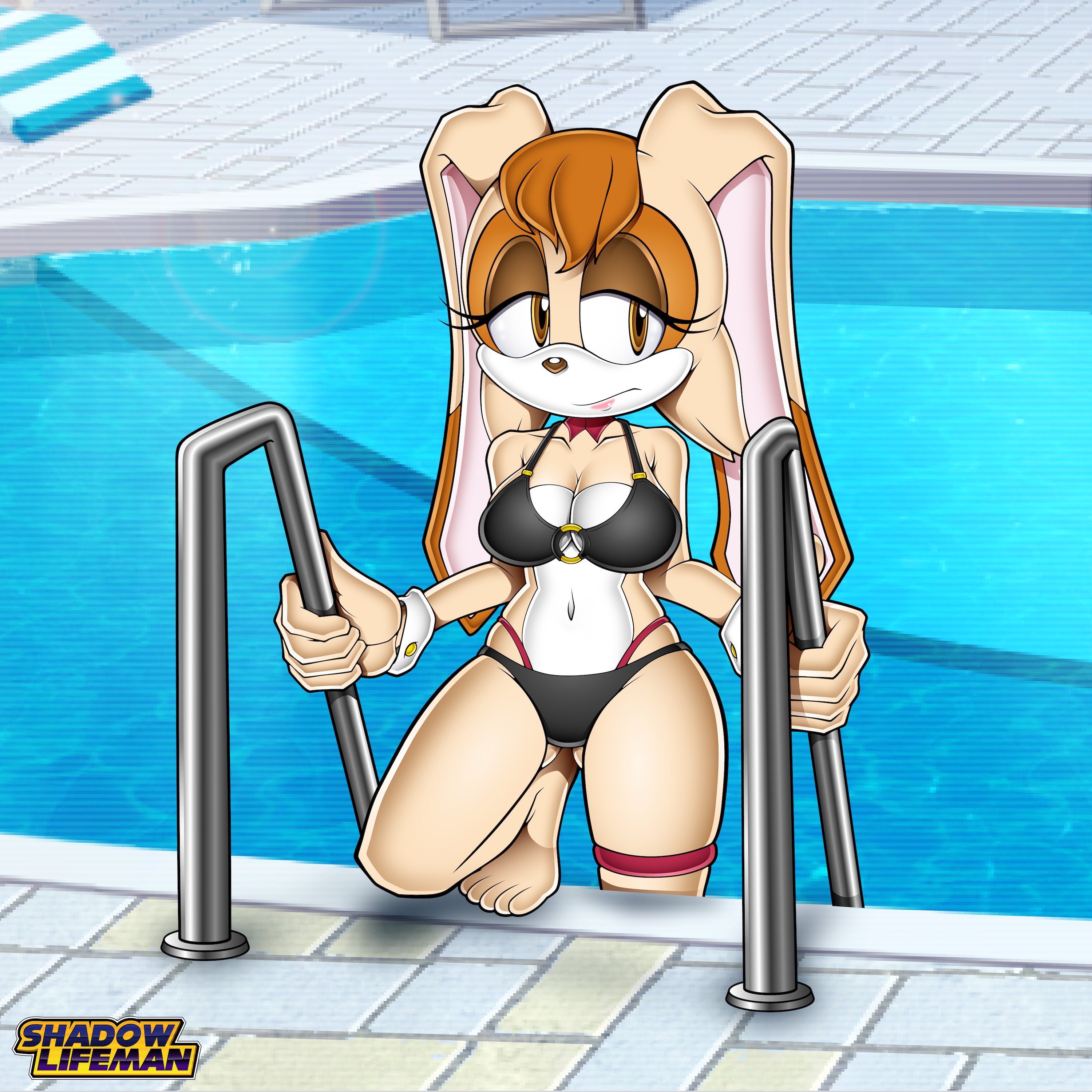 1girls, 1milf, accurate, accurate art style, accurate artstyle, accurate body type, accurate model, accurate proportions, artist logo, artist name, artstyle, artstyle imitation, background, belly button, bikini, bikini bottom, bikini top, clothed, clothed female, clothes, clothing, female, female focus, female only, getting out of pool, looking away, looking away from viewer, milf, mobian, mobian (species), mobian rabbit, pool, sega, shadowlifeman, solo, solo female, sonic (series), sonic adventure, sonic the hedgehog (series), station square, summer, swimsuit, swimwear, uekawa style, vanilla the rabbit, water
