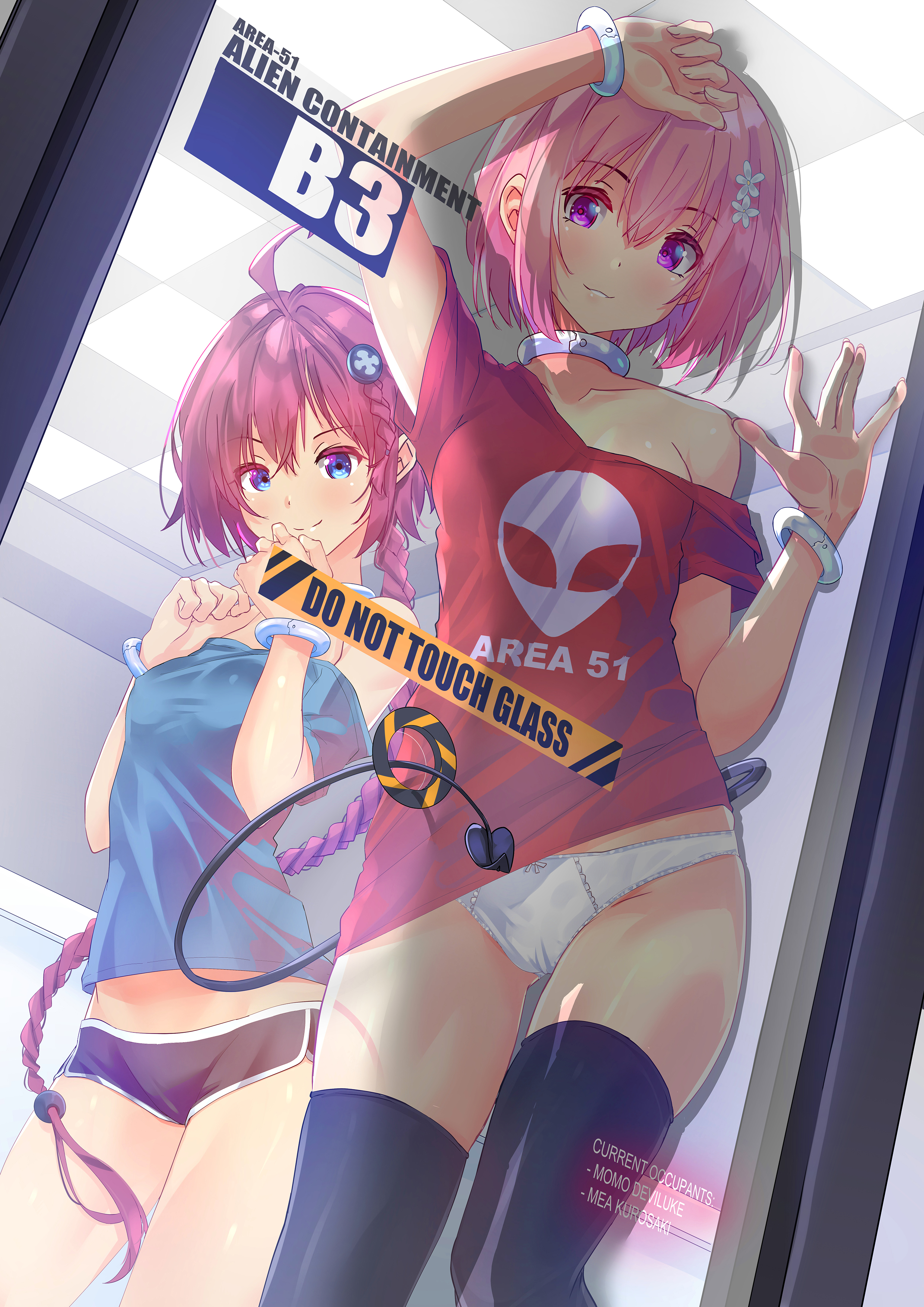 big breasts, braid, breasts, clothing, female, kurosaki mea, light skin, momo velia deviluke, panties, pink eyes, pink hair, stockings, sydus, thigh gap, to love-ru