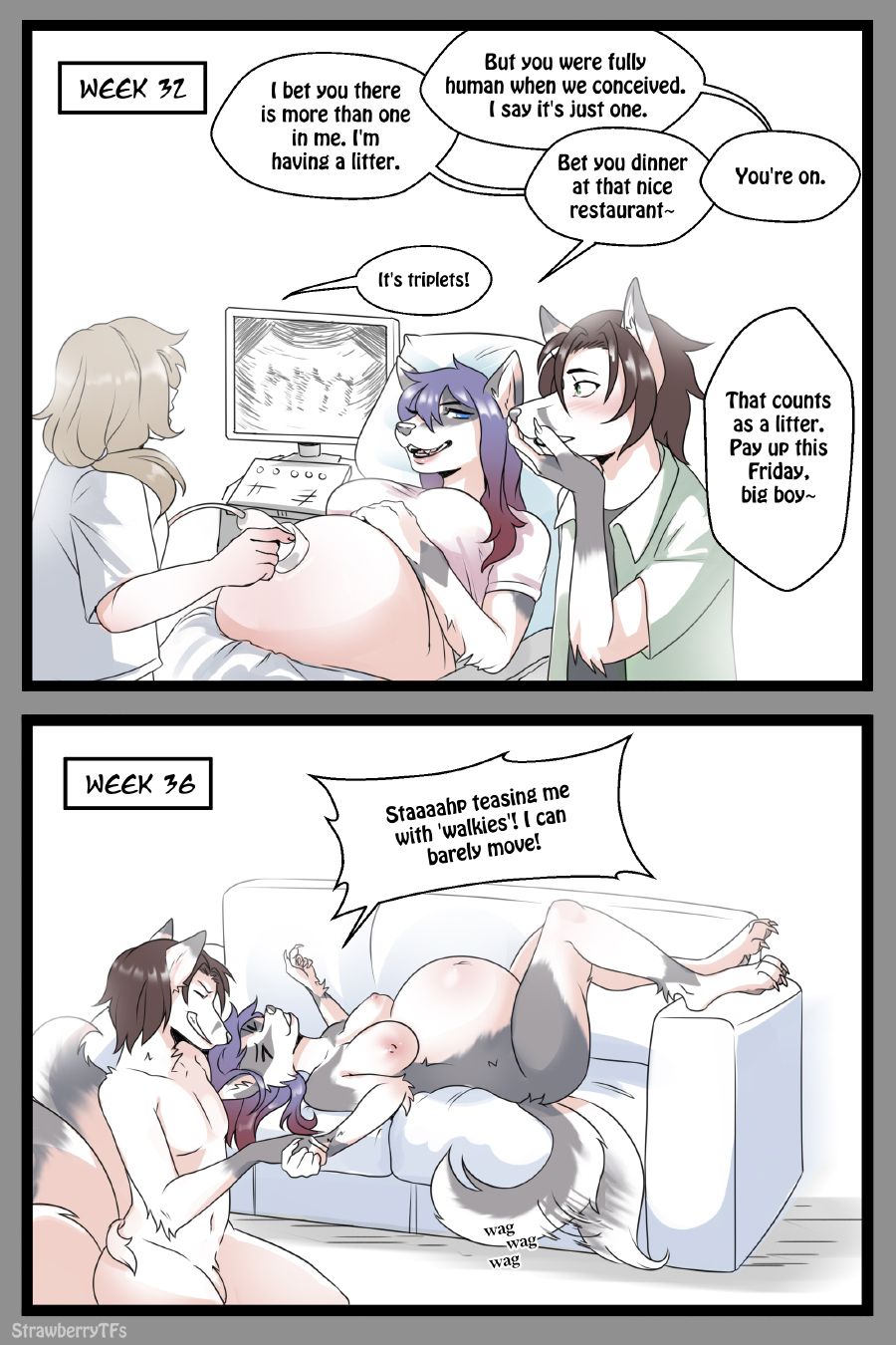 2023 2:3 ambiguous_gender anthro areola barely_visible_genitalia barely_visible_penis biped black_border blue_eyes blush border breasts brown_hair canid canine canis claws closed_eyes clothing colored comic countershade_fur countershade_tail countershading dialogue domestic_dog english_text female flaccid fur genitals grey_body grey_border grey_fur grey_markings group hair hi_res human husky kneeling lying male mammal markings motion_lines navel nipples nordic_sled_dog on_back paws penis pregnant pregnant_anthro pregnant_female purple_hair red_hair shirt simple_background smile speech_bubble spitz standing strawberrytfs tail tail_motion tailwag teasing text topwear trio ultrasound white_background white_body white_fur white_markings